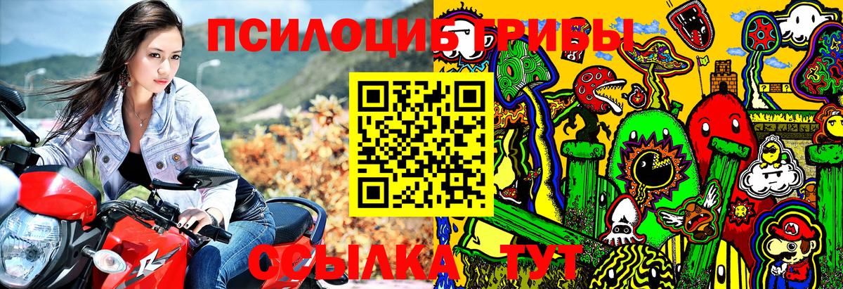 Галлюциногенные грибы Psilocybine cubensis Асино